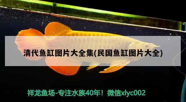 清代魚缸圖片大全集(民國(guó)魚缸圖片大全) 清代魚缸圖片大全集(民國(guó)魚缸圖片大全) 觀賞魚百科