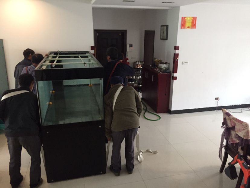 福州觀賞魚市場挪動大魚缸