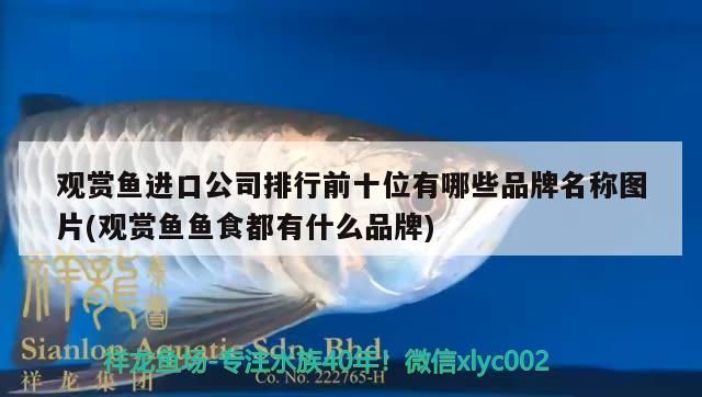 觀賞魚進(jìn)口公司排行前十位有哪些品牌名稱圖片(觀賞魚魚食都有什么品牌) 觀賞魚進(jìn)口公司排行前十位有哪些品牌名稱圖片(觀賞魚魚食都有什么品牌) 觀賞魚百科