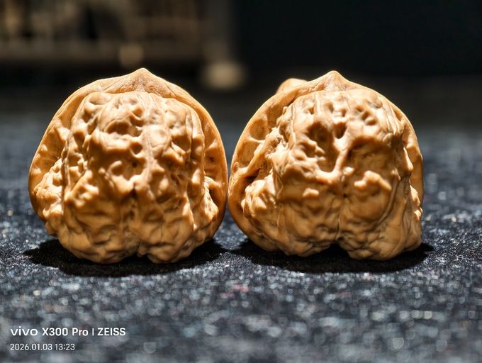 【淶水麻核桃·蛤蟆頭999可小刀,包郵】 龍魚論壇 第4張 【淶水麻核桃·蛤蟆頭999可小刀,包郵】 【淶水麻核桃·蛤蟆頭999可小刀,包郵】 龍魚論壇 第4張