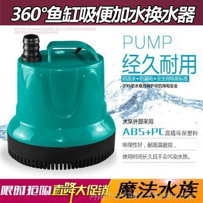 藍色的金龍魚品種圖片及價格（藍色的金龍魚品種圖片及價格大全） 藍色的金龍魚品種圖片及價格（藍色的金龍魚品種圖片及價格大全） 觀賞魚百科