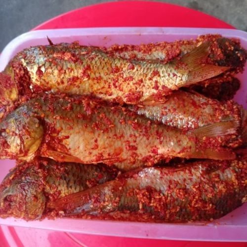 貴州腌魚黎平特產 貴州腌魚黎平特產 觀賞魚百科 第6張