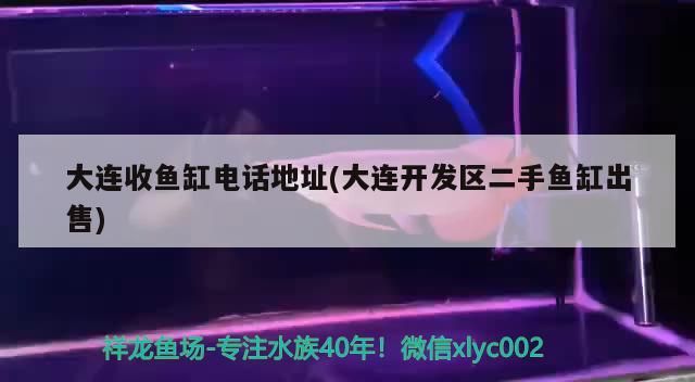 大連收魚缸電話地址(大連開發(fā)區(qū)二手魚缸出售) 大連收魚缸電話地址(大連開發(fā)區(qū)二手魚缸出售) 觀賞魚百科 第1張