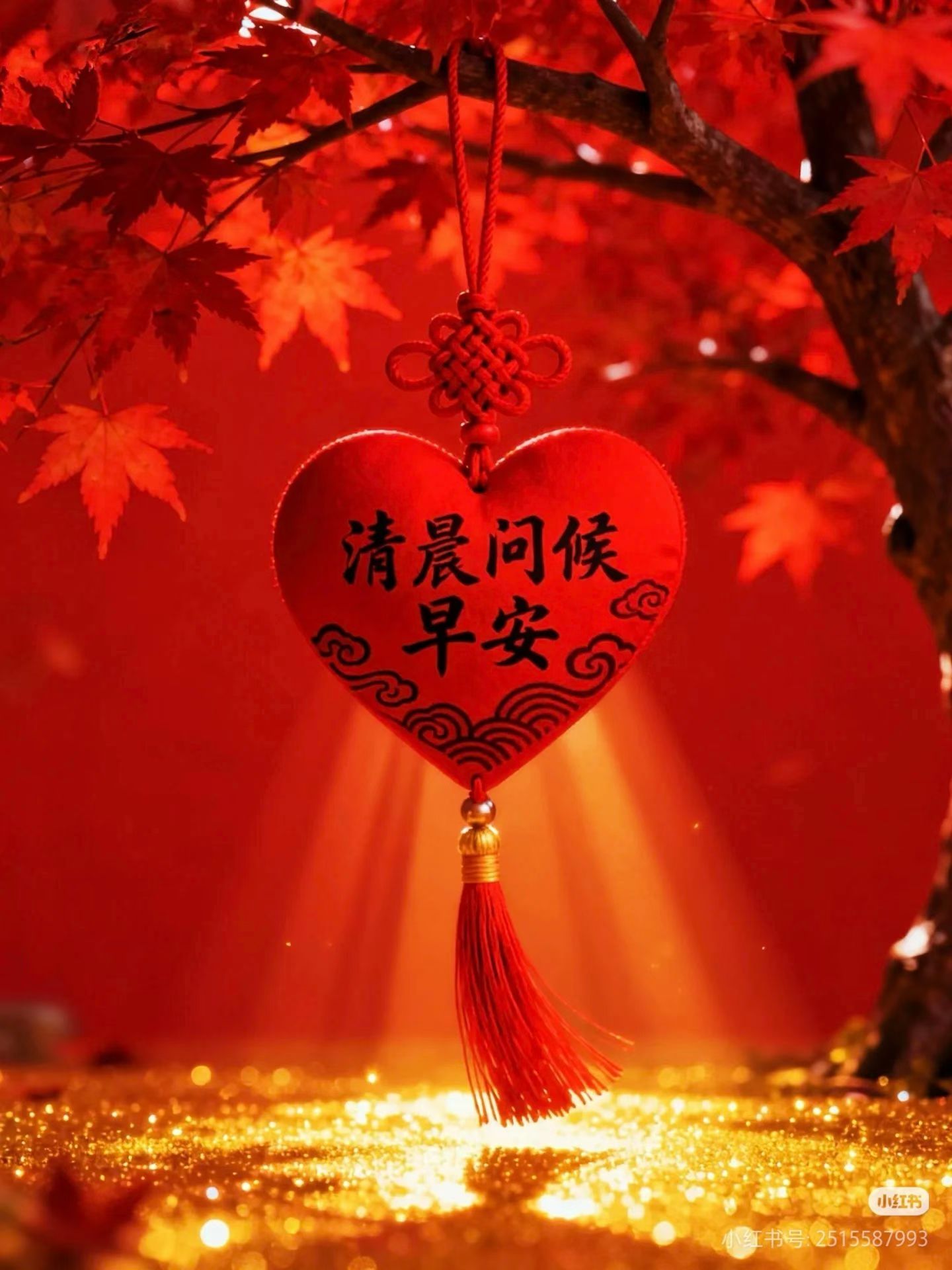 新年新氣象 新年新氣象 龍魚論壇