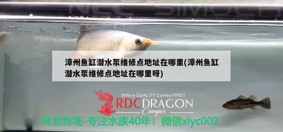 漳州魚缸潛水泵維修點地址在哪里(漳州魚缸潛水泵維修點地址在哪里呀)