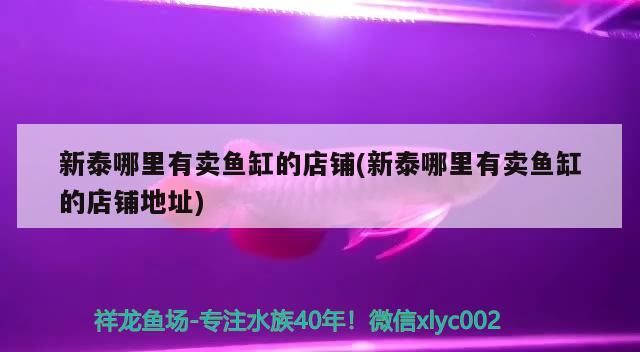 慈利水族館觀察小甲蟲作文，慈利水族館小甲蟲