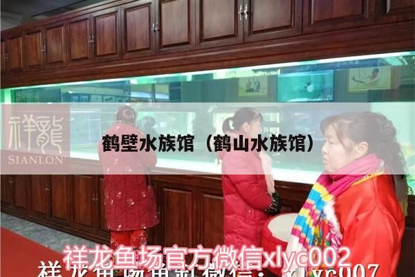 巨骨舌魚(yú) 鶴壁水族館(鶴山水族館) 觀賞魚(yú)百科 鶴壁水族館(鶴山水族館) 鶴壁水族館(鶴山水族館) 觀賞魚(yú)百科