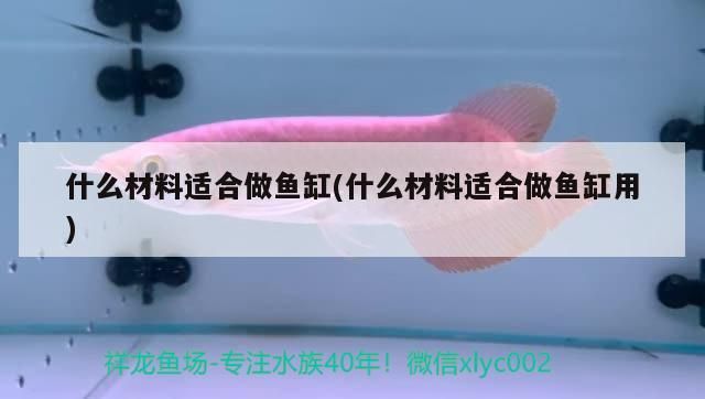 包含北京魚缸清理北京清江水族熱線的詞條 包含北京魚缸清理北京清江水族熱線的詞條 觀賞魚百科 第3張