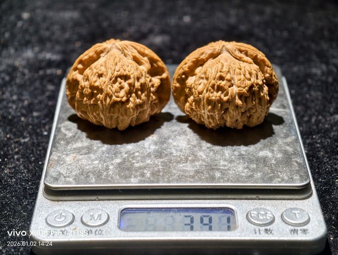 【淶水麻核桃·白獅子499包郵】