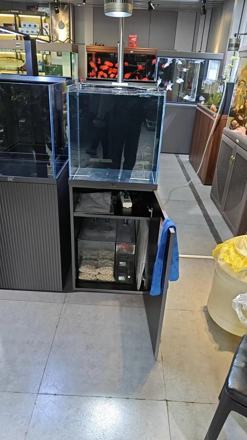 仟湖魚缸為什么這么貴 仟湖魚缸為什么這么貴 觀賞魚百科 第5張