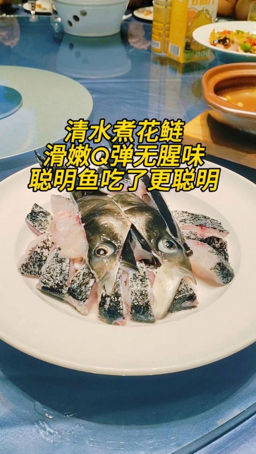 龍和聰明魚 龍和聰明魚 觀賞魚百科 第4張