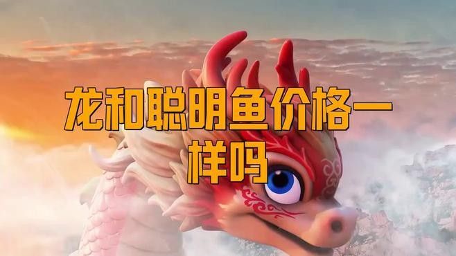 龍和聰明魚 龍和聰明魚 觀賞魚百科 第3張