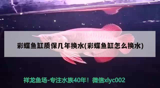 彩蝶魚缸質保幾年換水(彩蝶魚缸怎么換水)