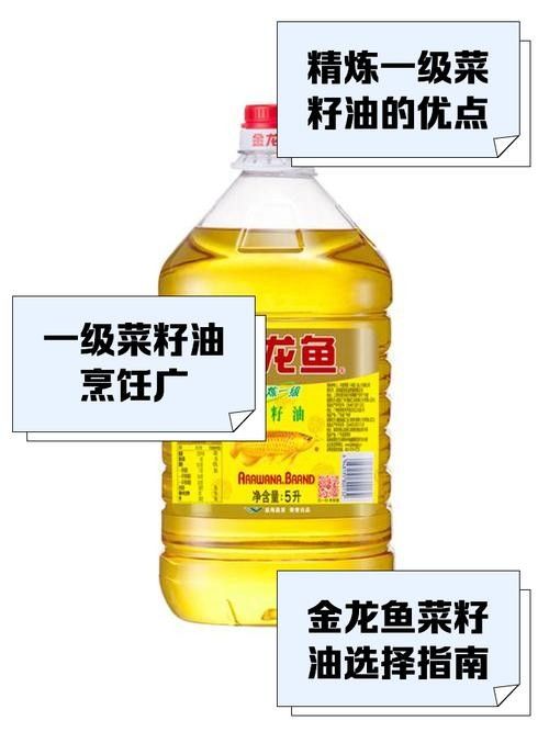 秀嶼港金龍魚價格表圖片
