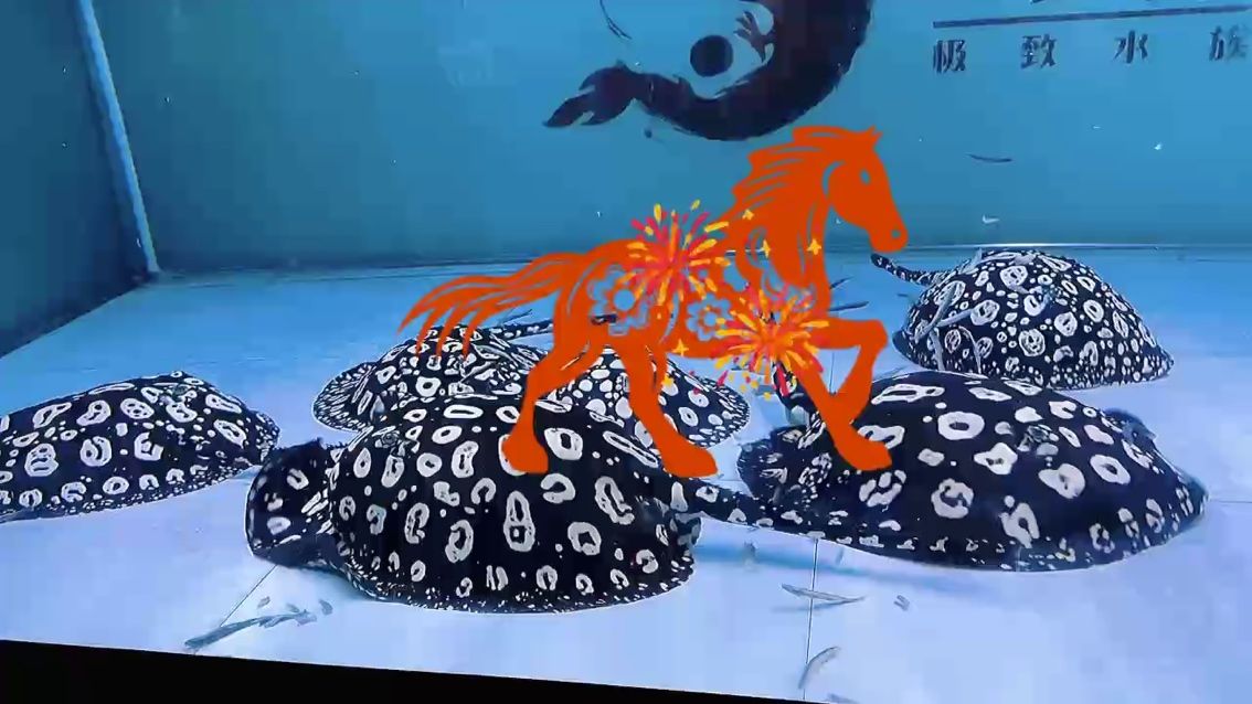 你好，2026，
新的一年，年復一年，年富一年，
祝?大家元旦快樂！