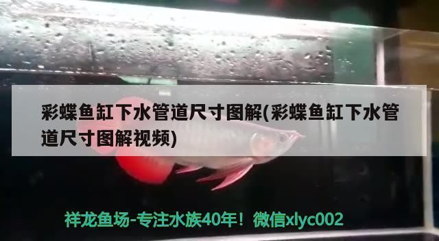 京東買魚缸哪里便宜（ 京東買魚缸哪里便宜又好） 京東買魚缸哪里便宜（ 京東買魚缸哪里便宜又好） 觀賞魚百科