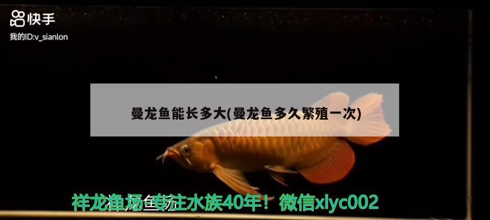 魚缸用增氧泵價格是多少:魚缸增氧機-xtrac增氧機-xtrac增氧機 曼龍魚能長多大(曼龍魚多久繁殖一次) 觀賞魚百科 曼龍魚能長多大(曼龍魚多久繁殖一次) 曼龍魚能長多大(曼龍魚多久繁殖一次) 觀賞魚百科