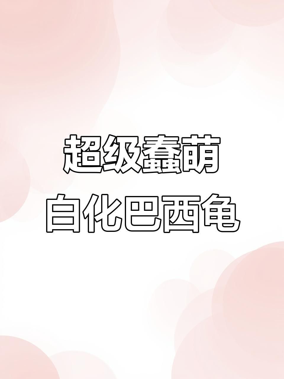 白化巴西龜能活多久 白化巴西龜能活多久 觀賞魚百科 第4張