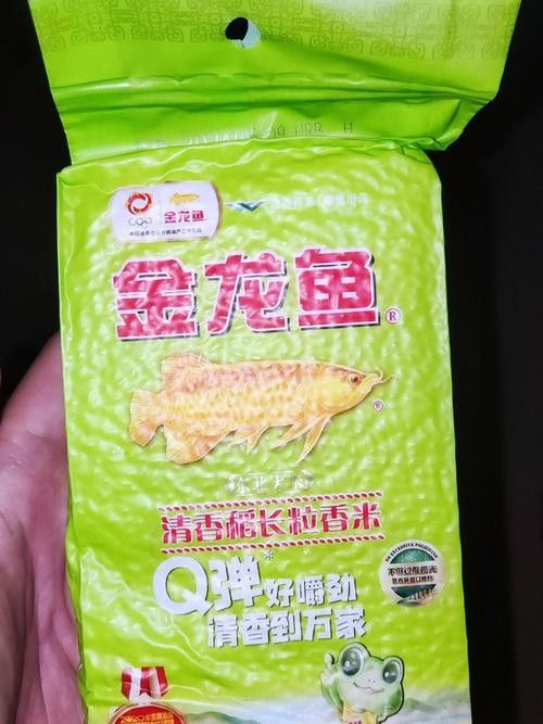 旌陽金龍魚 旌陽金龍魚 觀賞魚百科 第2張