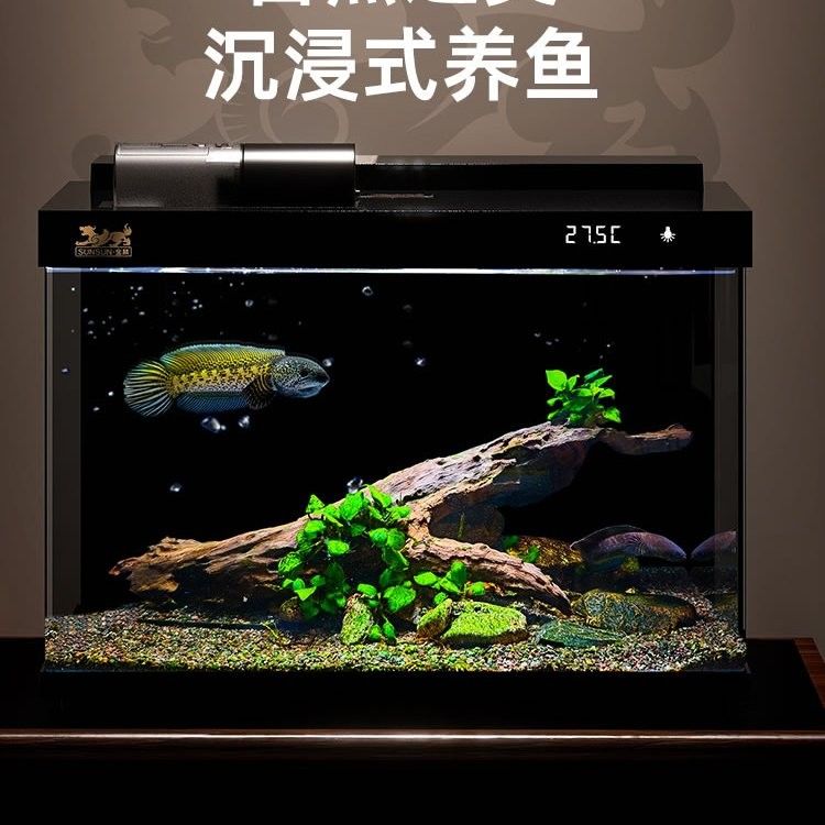 森森魚(yú)缸好嗎 森森魚(yú)缸好嗎 觀賞魚(yú)百科 第8張
