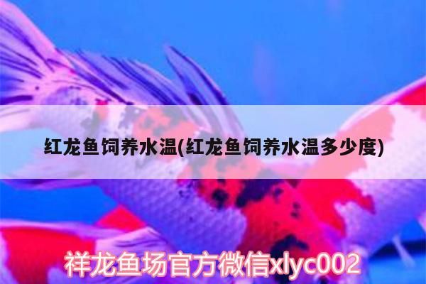 魚缸用增氧泵價格是多少:魚缸增氧機-xtrac增氧機-xtrac增氧機 紅龍魚飼養水溫(紅龍魚飼養水溫多少度) 觀賞魚百科 紅龍魚飼養水溫(紅龍魚飼養水溫多少度) 紅龍魚飼養水溫(紅龍魚飼養水溫多少度) 觀賞魚百科
