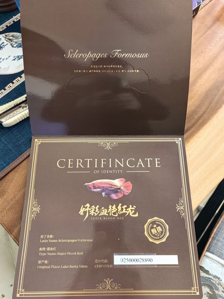 小家伙到家了