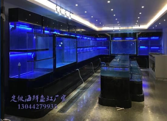 哥哥姐姐們黃金河虎吃什么 哥哥姐姐們黃金河虎吃什么 觀賞魚百科