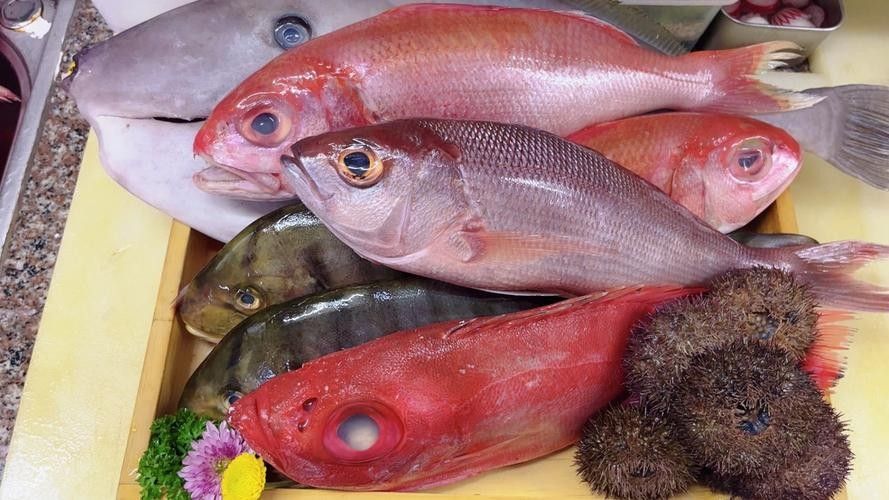 紅寶石魚 觀賞魚百科 第4張 紅寶石魚 紅寶石魚 觀賞魚百科 第4張