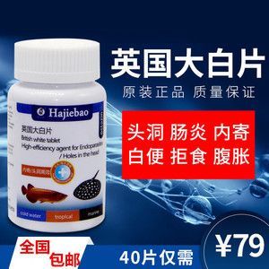 除大白片以外還有什么藥可以給龍魚袪蟲（關于龍魚驅蟲的問題）