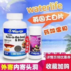 除大白片以外還有什么藥可以給龍魚袪蟲（關于龍魚驅蟲的問題）