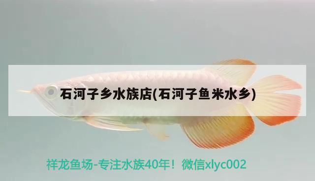 <strong><mark>石河子</mark></strong>鄉水族店(<strong><mark>石河子</mark></strong>魚米水鄉)