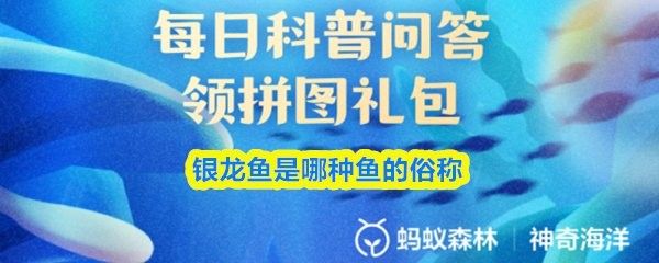 銀龍魚是那種魚的俗稱 銀龍魚是那種魚的俗稱 觀賞魚百科 第5張
