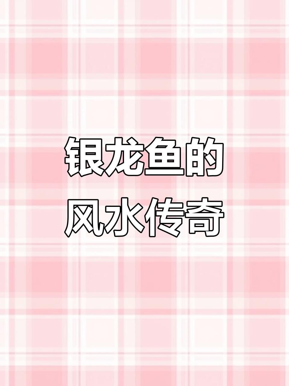 銀龍魚是那種魚的俗稱 銀龍魚是那種魚的俗稱 觀賞魚百科 第3張