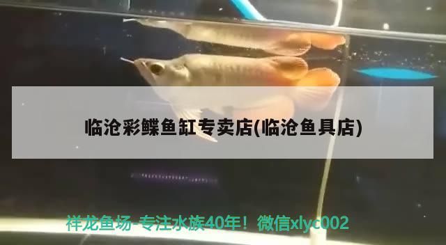 臨滄彩鰈魚缸專賣店(臨滄魚具店) 臨滄彩鰈魚缸專賣店(臨滄魚具店) 觀賞魚百科