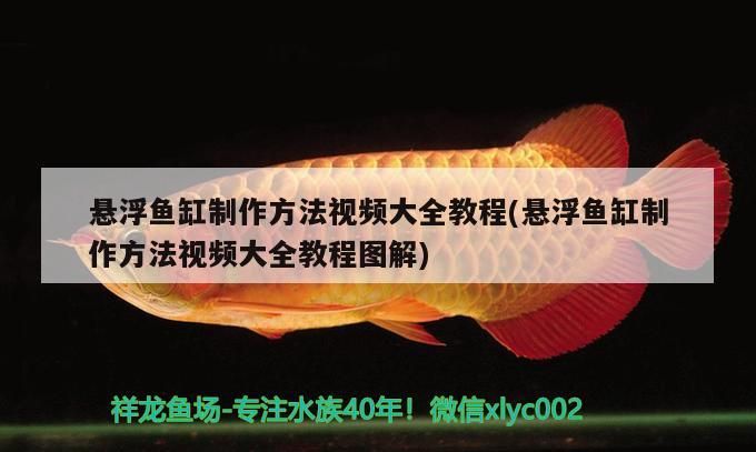 懸浮魚缸制作方法視頻大全教程(懸浮魚缸制作方法視頻大全教程圖解) 懸浮魚缸制作方法視頻大全教程(懸浮魚缸制作方法視頻大全教程圖解) 觀賞魚百科 第1張