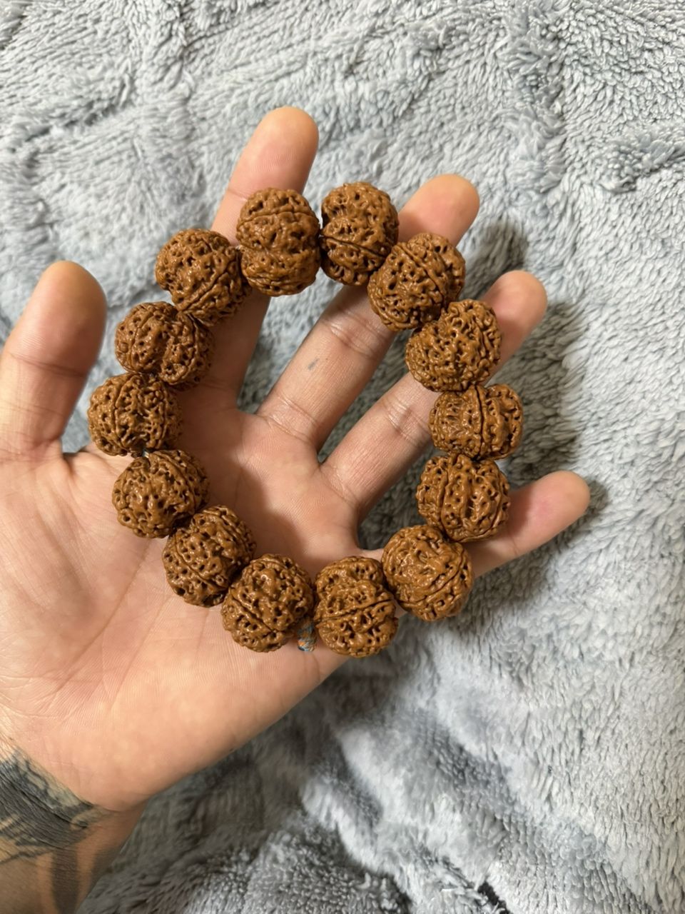 25雙龍大金剛 25雙龍大金剛 龍魚論壇 第1張