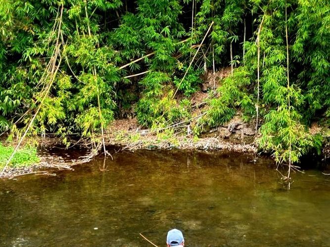 龍溪釣魚比較好的地方 龍溪釣魚比較好的地方 觀賞魚百科 第4張