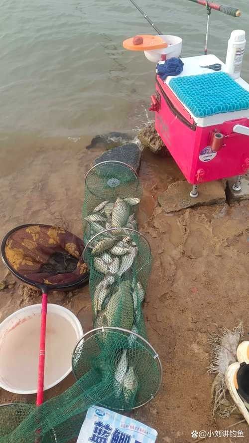 龍溪釣魚比較好的地方 龍溪釣魚比較好的地方 觀賞魚百科 第5張