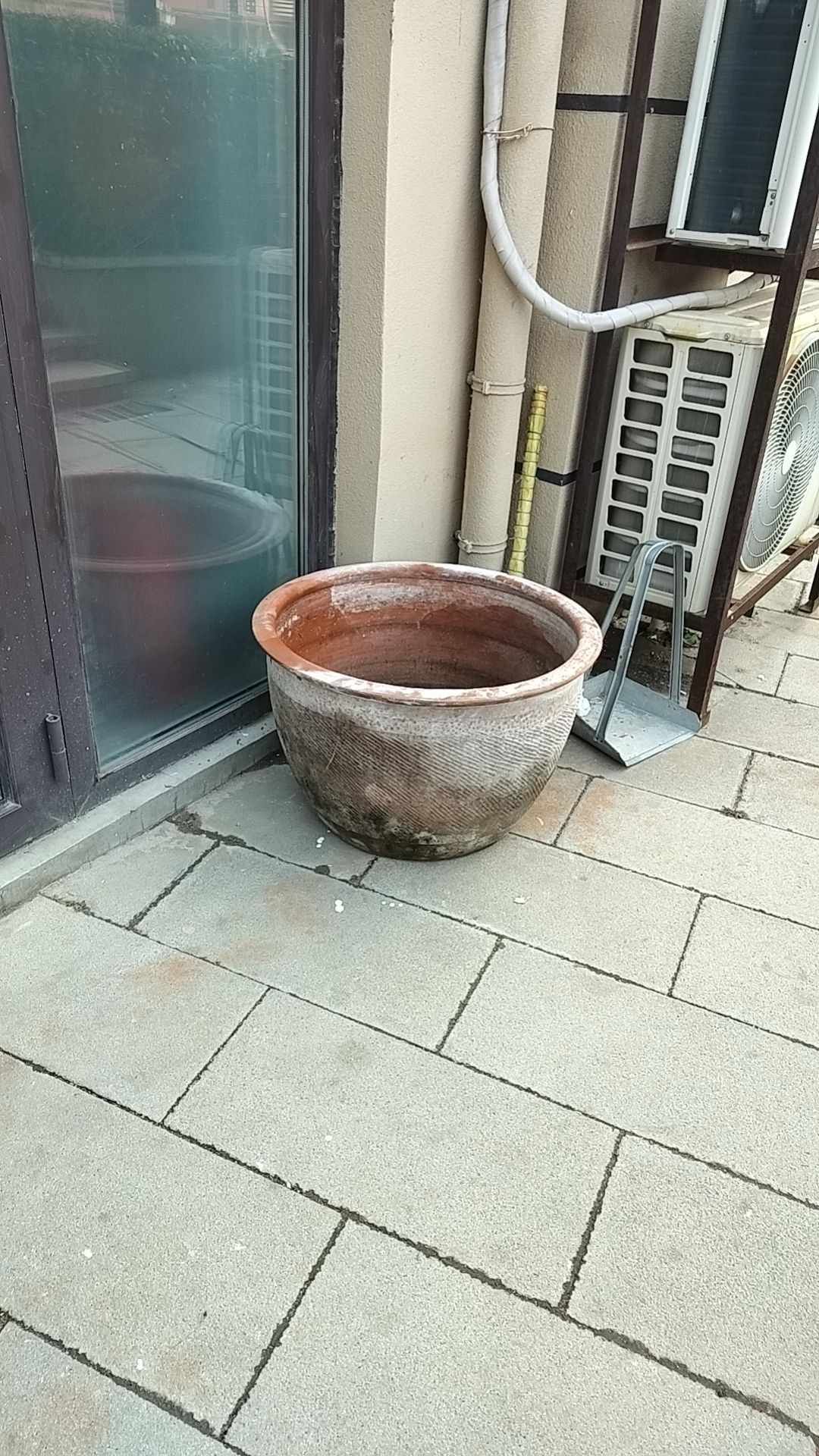 增加一些玄機 增加一些玄機 龍魚論壇 第1張