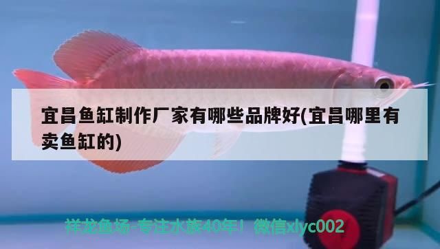 <strong><mark>宜昌</mark></strong>魚缸制作廠家有哪些品牌好(<strong><mark>宜昌</mark></strong>哪里有賣魚缸的)
