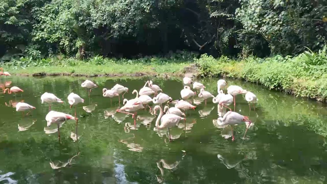 自然
