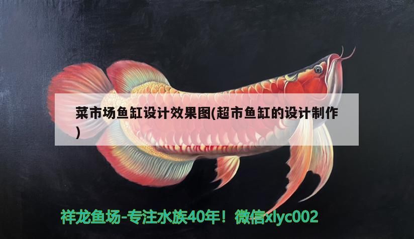 魚缸用增氧泵價格是多少:魚缸增氧機-xtrac增氧機-xtrac增氧機 菜市場魚缸設計效果圖(超市魚缸的設計制作) 觀賞魚百科 菜市場魚缸設計效果圖(超市魚缸的設計制作) 菜市場魚缸設計效果圖(超市魚缸的設計制作) 觀賞魚百科