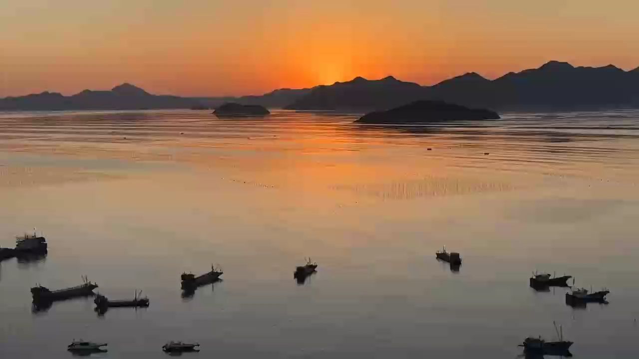 海灣 海灣 龍魚論壇
