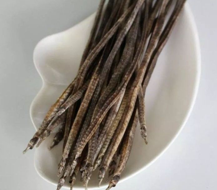 海龍魚干的作用和禁忌 海龍魚干的作用和禁忌 觀賞魚百科 第5張