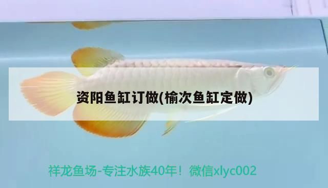 魚缸過濾器選購指南:自制魚缸過濾器魚缸上置過濾器對于養(yǎng)魚愛好者的必備知識 資陽魚缸訂做(榆次魚缸定做) 觀賞魚百科 資陽魚缸訂做(榆次魚缸定做) 資陽魚缸訂做(榆次魚缸定做) 觀賞魚百科