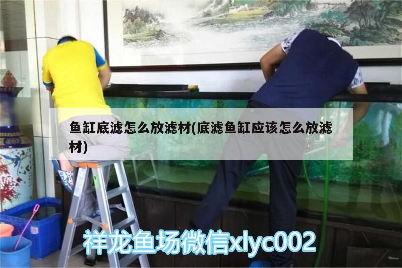 魚缸底濾怎么放濾材(底濾魚缸應該怎么放濾材)