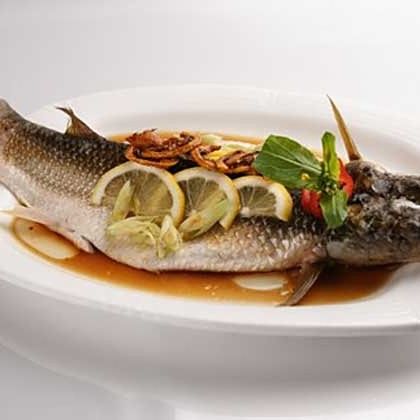 天元魚烏頭魚 天元魚烏頭魚 觀賞魚百科 第3張