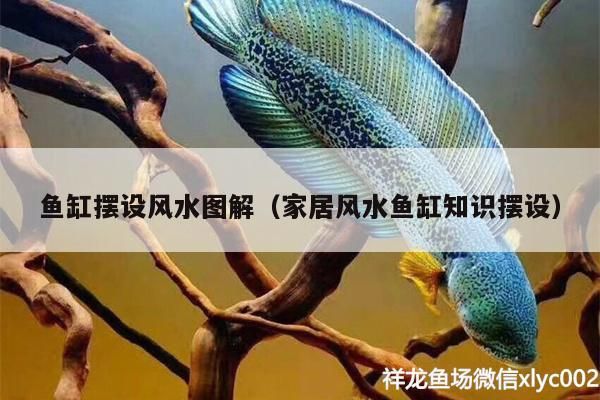 魚缸擺設風水圖解（家居風水魚缸知識擺設）