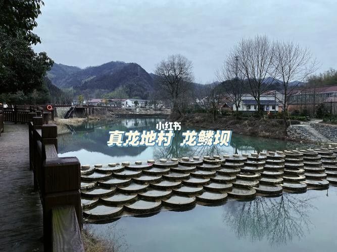 霍山真龍地景點 觀賞魚百科 第9張 霍山真龍地景點 霍山真龍地景點 觀賞魚百科 第9張