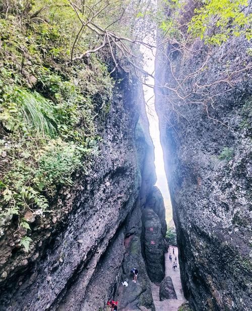 霍山真龍地景點 觀賞魚百科 第8張 霍山真龍地景點 霍山真龍地景點 觀賞魚百科 第8張